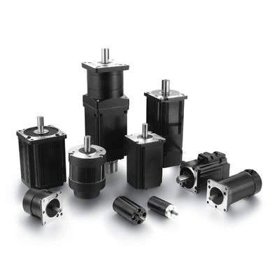 9 トーク リオランド 350W 6-60V PWM DCブラシレス電動モーター