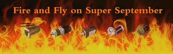 IE 2 効率 5kw ブラシレス DC モーター 電動バイク 高トルク 1-80KG.CM
