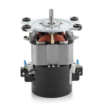 IE 1 効率 110V 220V AC トレーディングミール モーターマシン 50/60Hz シングルフェーズ AC モーター