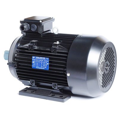 3相インダクションモーター 熱帯洗濯機用水ポンプ用